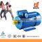 Electrico Single Phase Motor YL8014