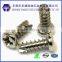 china screw zinc plating steel screw