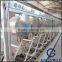 Lateset Design High Efficiency Potato Powder Equipment
