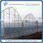 Large Gothic Agricutural Greenhouse