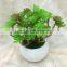 High quality best price artificial succulent plant for decoration