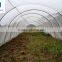 HDPE transparent agriculture anti insect net/insect screen, greenhouse insect net