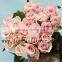 For Wedding Decoration Rose Flowers Organic High Quality Pink Flower From China