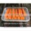 Supermarket Display Disposable Plastic Frozen Meat Containers With Soaker Pads