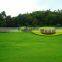 Artificial Lawn Grass Landscaping with Low Cost