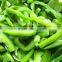 2016wholesale Frozen Green Pepper,Frozen Green Bell Pepper Frozen DICES