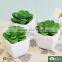 Mini Artificial Succulent Plants for Home Decorating