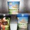 4oz-12oz customized printed paper and plastic ice cream containers with lid