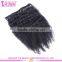 Wholesale Factory Price 10-30" Afro Kinky Curly Clip in Hair Extensions Virgin Brazilian Clip in Hair Extension