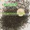 Rudbeckia hirta flower seeds