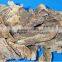GMP Natural High Quality Ecklonia Cava Extract Powder