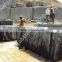 Granite blocks/ slabs from india for sale/ Competitive price