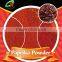 100% pure steam sterilize China paprika powder