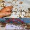 bee medicine/Bee Flumethrin Strip for beekeeping