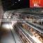 INNAER factory supply all kinds chicken coops for poultry chicken farm