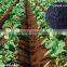 Foliar Seaweed Fertilizer / Drip Irrigation Fertilizer Seaweed Fertilizer Organic Fertilizer