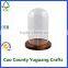 round glass dome wooden base ornament display case