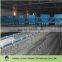 automatic chciken breeding machine manufacturer