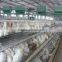 Best Sale Chicken Egg Layer Cages in South Africa, Nigeria, Kenya, Uganda,