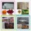 2015 high-tech factory price cost effective automatic control dryer for sausages