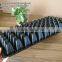Hydroponics Plastic Nursery Seedling Pots, Nursery Seedling Tray for Seed Germination System