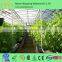 Vegetable Tunnel Greenhouse Corrugated Galvanized Steel Pipe Walk in Garden Greenhouse