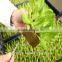 wet floral foam for agriculture soilless seedings planting