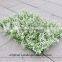 artificial boxwood carpet