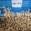 High Quality Hot Sales Frozen Short Necked Clam Meat