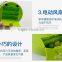 2017 new summer mini creative fan portable fan toy with candy promotional toys