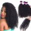 14 Inch Brown 12 -20 Inch No No Lice Damage Brazilian Curly Human Hair