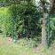 Welded mesh fencing security fence 3D fence