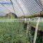 China Manufacture 100% Virgin LDPE UV Protective 350 micron Black White Polyethylene Sheeting for Poultry Farming Greenhouse