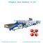 Trade assurance sorting machine for onion / automatic weight sorting machine / dragon fruit grading machine