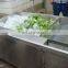 Popular Good Price for Commercial Vegetable Washing Equipment