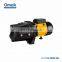 Irrigation high pressure water pumps JSP