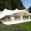 custom shape stretch tent pics, wedding party event decoration tent for sale
