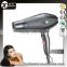 Salon Use Professional Hair Dryer Up to 3000W