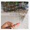 Extruded Plant Netting White PP Knotless Plant Supporting Net