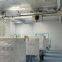 Double Girder Clean Room Overhead Crane