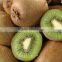 Chinese green fresh kiwi fruit for sale