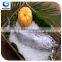 frozen seafood bonito tuna fish exporters