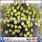 Man made yellow RVD diamond powder