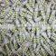 T10 13 SMD5050 Automobile Bulbs Auto Lighting System LED Light LED Lamp