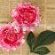 High Quality Artificial Flower Wedding Decorative Flowers Peony Silk Flower Single Artificial Peony