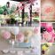 HOT Sale Factory Outlets Party Decoration Hanging Tissue Paper Pom Poms