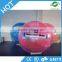Most popular water polo ball,hamster ball toy,human hamster ball for sale
