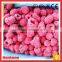 Frozen Fruit Iqf Raspberry Price