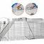 China supply animal cages with low price