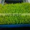 new functional automatic -animal fodder sprouting mahine -barley/wheat/meize/seedling bean sprout machine